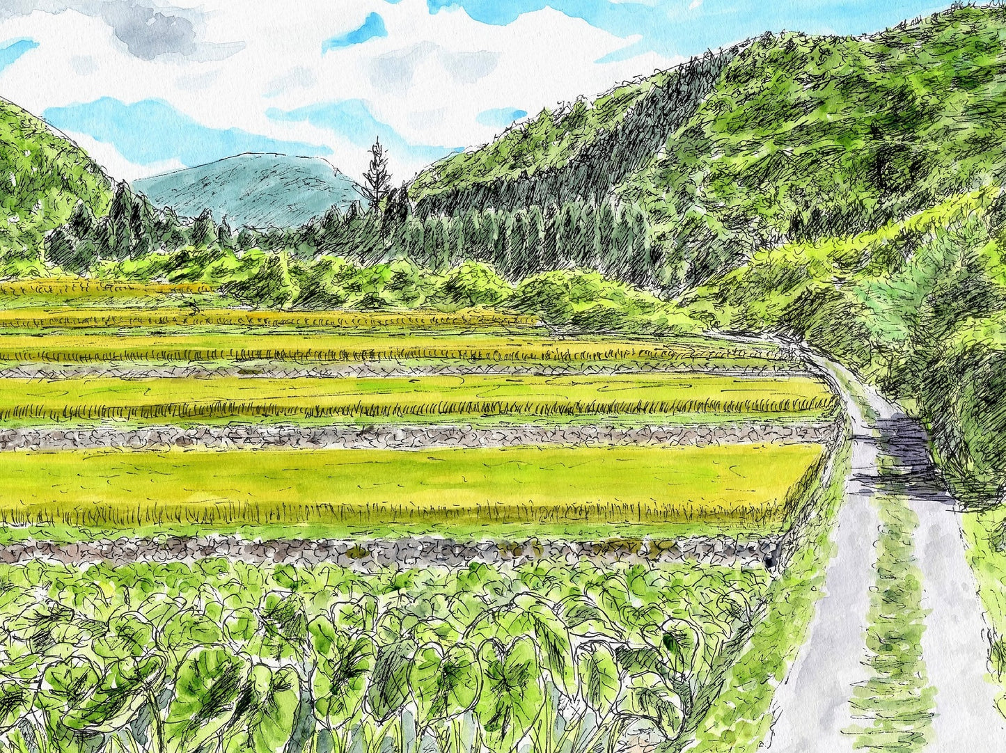 山あいの道