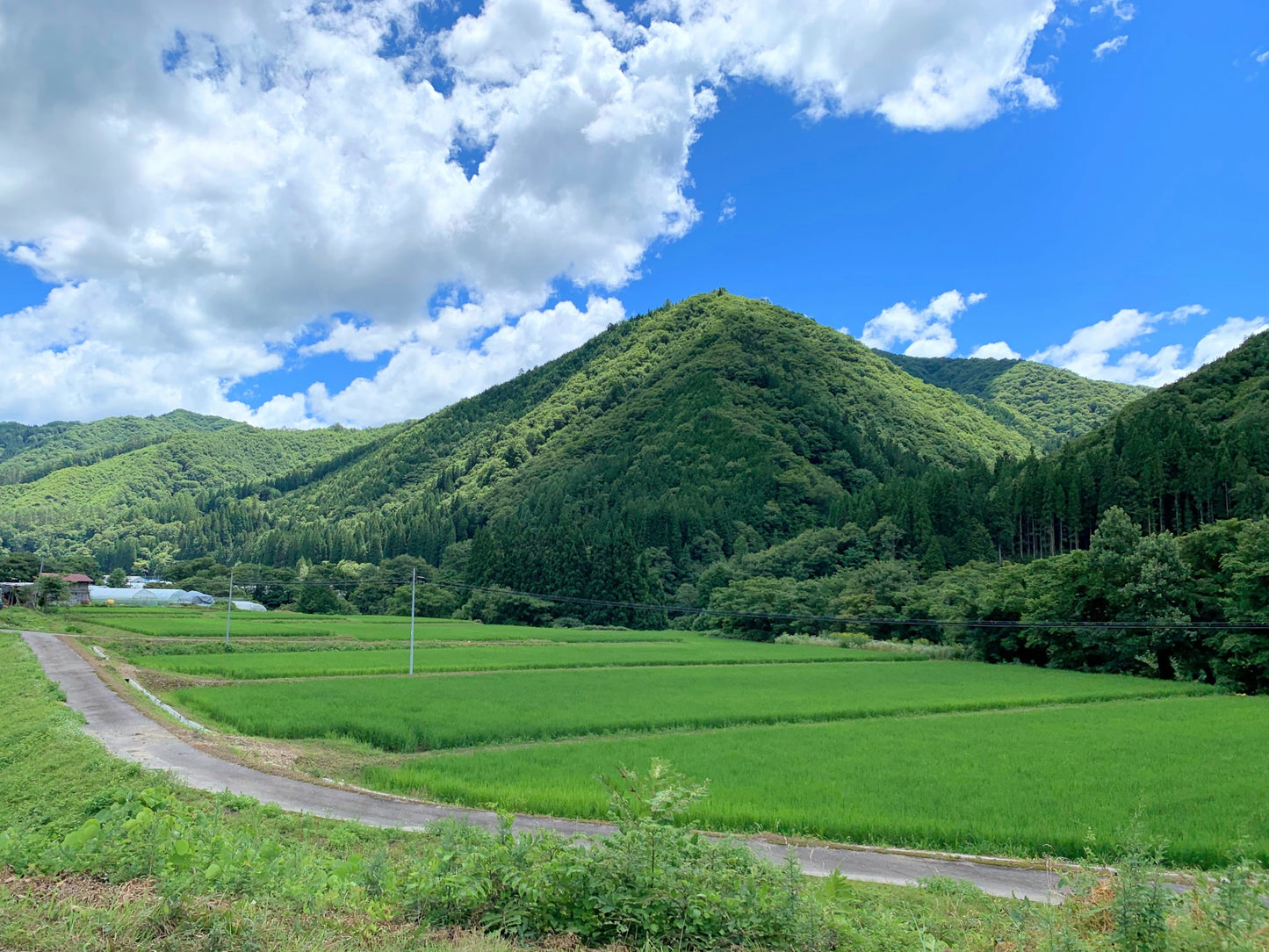 山あいの道