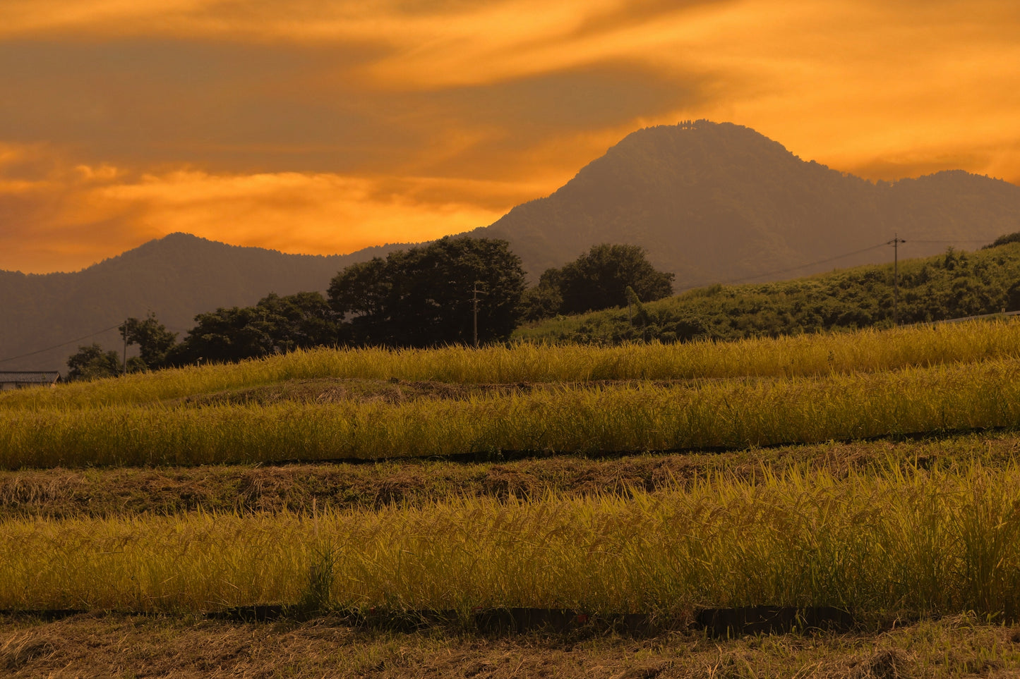 里山の夕暮れ