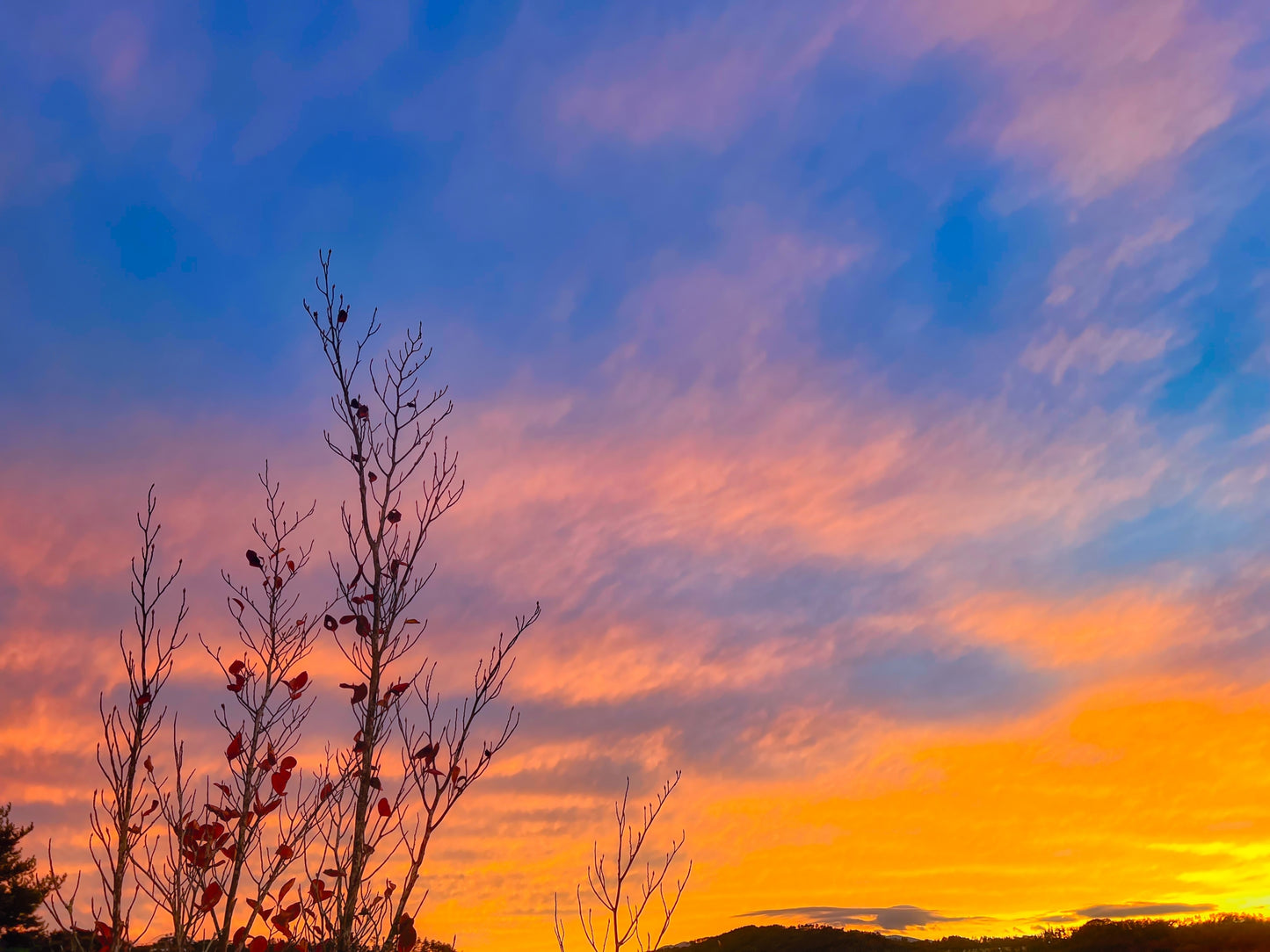 里山の夕暮れ